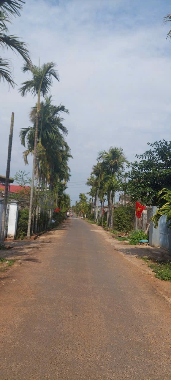 Bán Đất Nền 100m² Đường 14A Phường Tân An – Thổ Cư 100% Giá 1 Tỷ 430 Triệu