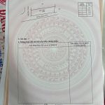 Bán Đất Nền 100m² Đường 14A Phường Tân An – Thổ Cư 100% Giá 1 Tỷ 430 Triệu - ảnh 3