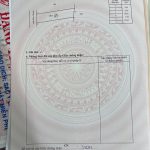 Bán Đất Nền 100m² Đường 14A Phường Tân An – Thổ Cư 100% Giá 1 Tỷ 430 Triệu - ảnh 4