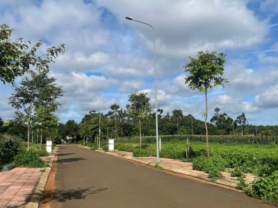 Bán Đất Đấu Giá 132m² Mặt Đường Xuân Quỳnh Tân An BMT – 3 Tỷ 399 Triệu