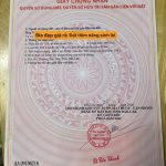 Bán Đất Nền 148m² Phường Tân Lập – Mặt Tiền Đường Nhựa 12m Kinh Doanh Tốt - ảnh 4