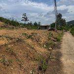 Bán Đất Vườn 3600m² Dray Sáp Krông Ana – 60m Mặt Tiền Bê Tông - ảnh 3