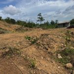 Bán Đất Vườn 3600m² Dray Sáp Krông Ana – 60m Mặt Tiền Bê Tông - ảnh 4