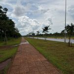 Bán Đất CLN 630m2 Gần Đại Lộ Đông Tây Buôn Ma Thuột – Giá 2 Tỷ 100 Triệu - ảnh 2