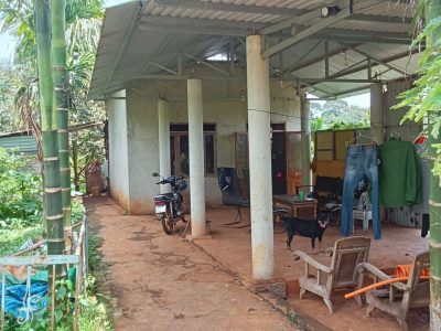 Bán Đất CLN 3500m² Xã Hòa Thắng BMT – Vườn Sầu Riêng Sau Viện Ekmat