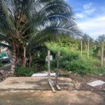 Bán Đất Nền 85m² Hẻm 235 Nguyễn Văn Cừ BMT – Giá 1 Tỷ 770 Triệu Nở Hậu - ảnh 2