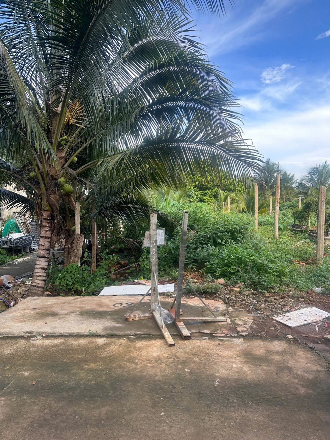 Bán Đất Nền 85m² Hẻm 235 Nguyễn Văn Cừ BMT – Giá 1 Tỷ 770 Triệu Nở Hậu