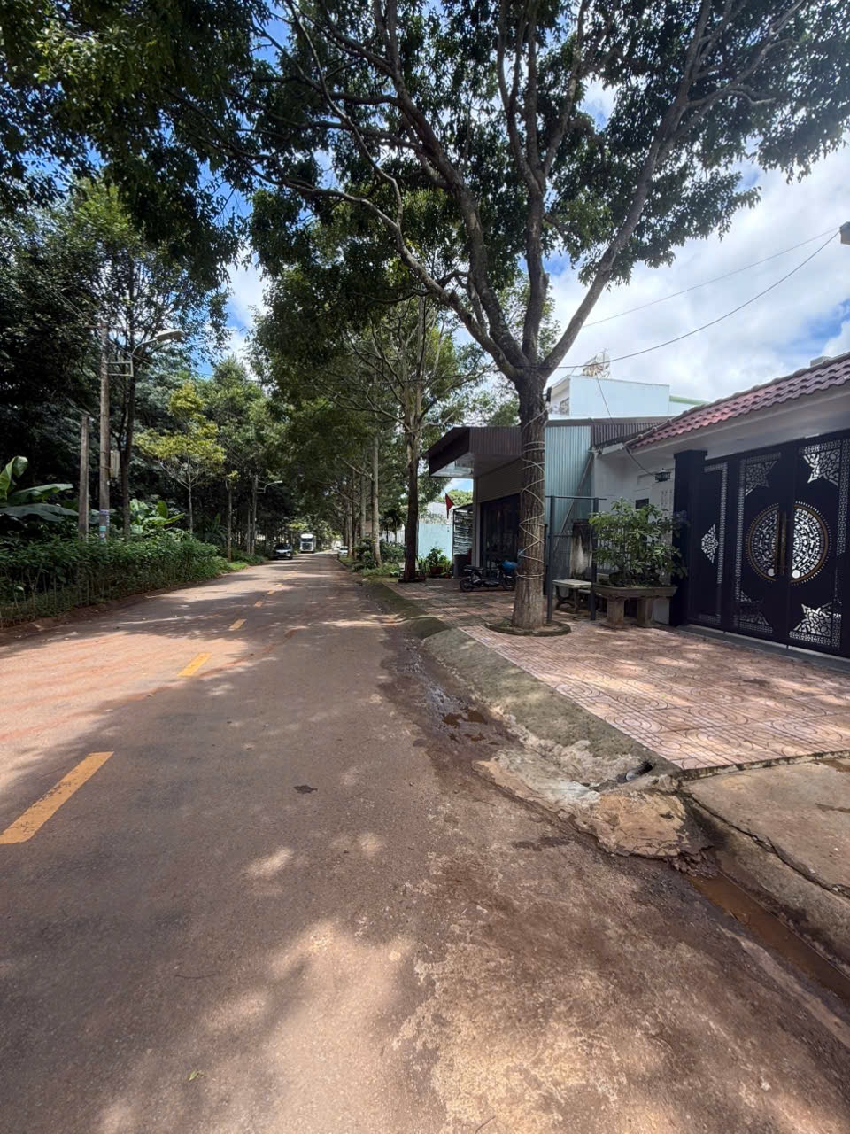 Bán Đất Nền 120m² Mặt Tiền Y Linh Tân Lập – Giá 3 Tỷ 950 Triệu