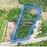 Bán Đất Nền 2300m² Gần Chợ Phú Xuân Krông Năng – Thổ Cư 1000m² Giá 3 Tỷ 350 - ảnh 4