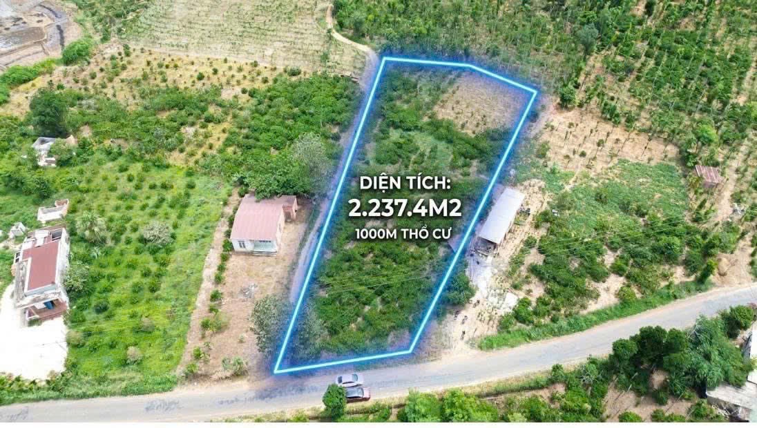 Bán Đất Nền 2300m² Gần Chợ Phú Xuân Krông Năng – Thổ Cư 1000m² Giá 3 Tỷ 350