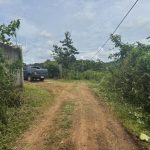 Bán Đất Vườn 20.000m² Gần Đường 19/5 Xã Ea Kao – Giá 8 Tỷ Thương Lượng - ảnh 2