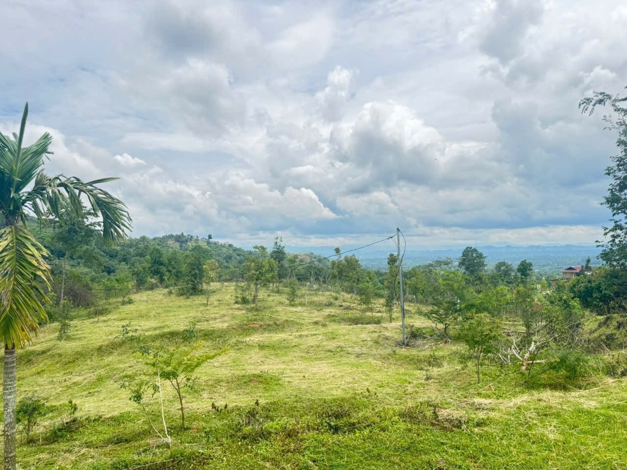 Bán Đất Vườn 20.000m² Gần Đường 19/5 Xã Ea Kao – Giá 8 Tỷ Thương Lượng