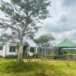 Bán Đất Vườn 20.000m² Gần Đường 19/5 Xã Ea Kao – Giá 8 Tỷ Thương Lượng - ảnh 4