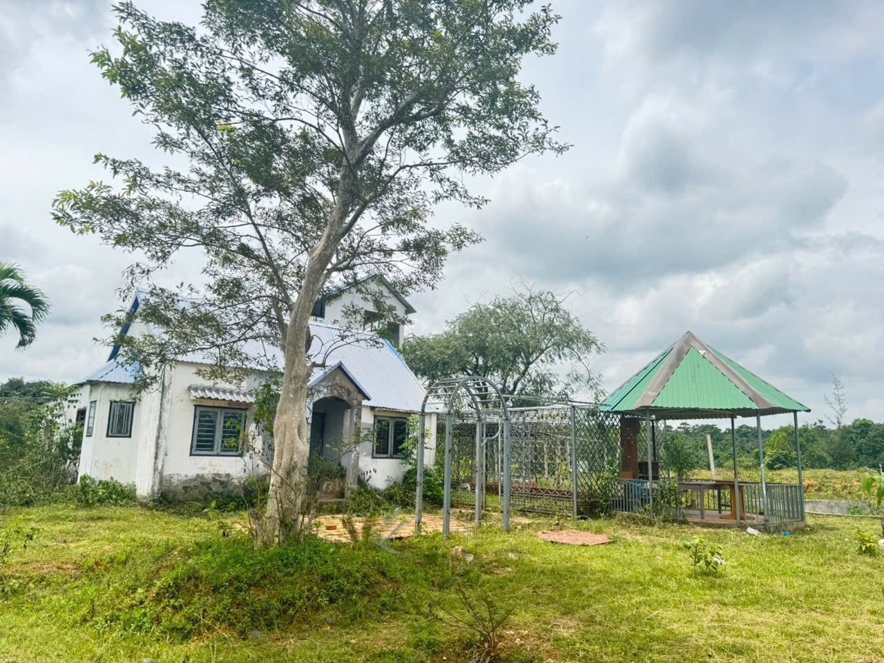 Bán Đất Vườn 20.000m² Gần Đường 19/5 Xã Ea Kao – Giá 8 Tỷ Thương Lượng