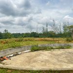 Bán Đất Vườn 20.000m² Gần Đường 19/5 Xã Ea Kao – Giá 8 Tỷ Thương Lượng - ảnh 5