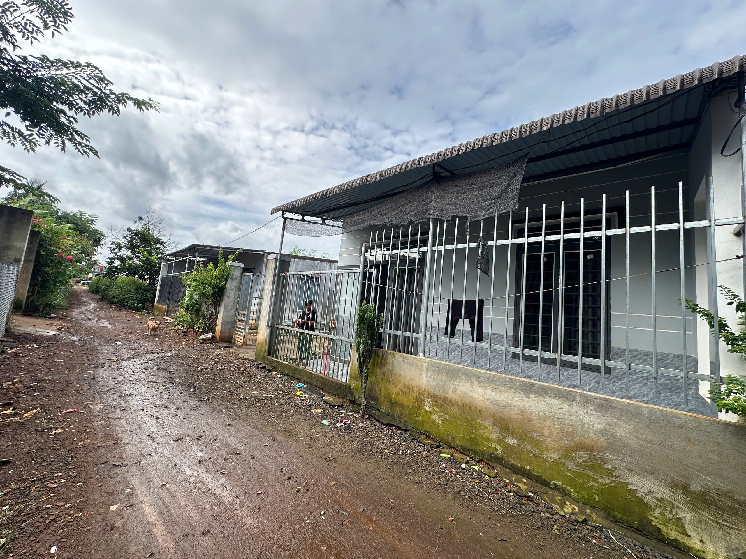 Bán 2 căn nhà cấp 4 thôn 5 Eba – 231m2 giá 799 triệu