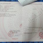 Bán lô đôi Văn Tiến Dũng ĐakLak diện tích 240m2 giá 24 tỷ - ảnh 3