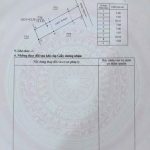 Bán đất nền 115 m² hẻm 03 Võ Văn Kiệt, Ea Tam, 1,04 tỷ - ảnh 4