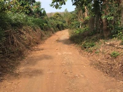 Bán đất CLN 13.000 m² tại xã Hòa Phú, giá 400 triệu/sào
