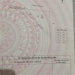 Bán đất 1.839 m² mặt tiền Đại lộ Đông Tây, giá 9,9 tỷ - ảnh 4