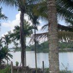 Bán đất nền 416 m² phường Thịnh Vượng, view hồ Việt Đức 4 - ảnh 4