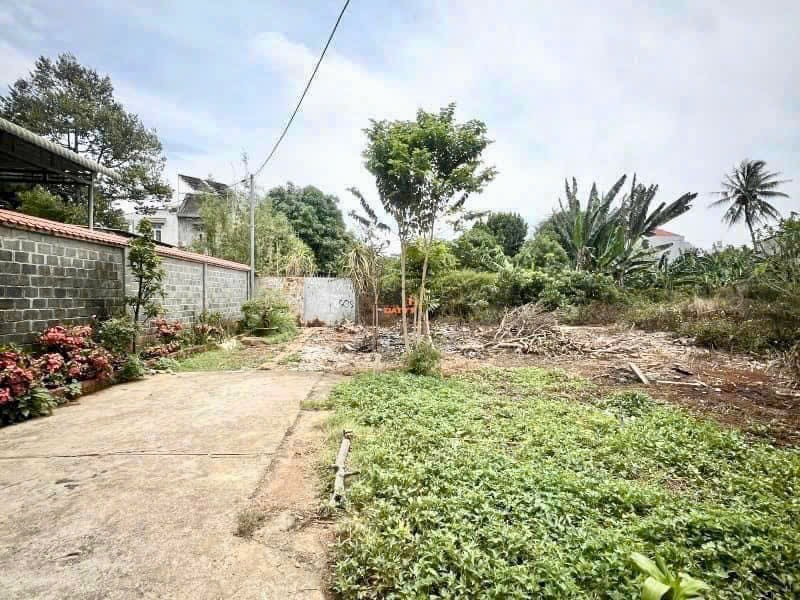 Bán đất nền 120m² hẻm 122 Mai Hắc Đế, giá 3,19 tỷ