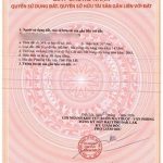 Bán lô đất 303m2 hẻm 140 Nguyễn Lương Bằng phường Tân Lập - ảnh 5