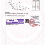 Bán lô đất 303m2 hẻm 140 Nguyễn Lương Bằng phường Tân Lập - ảnh 6