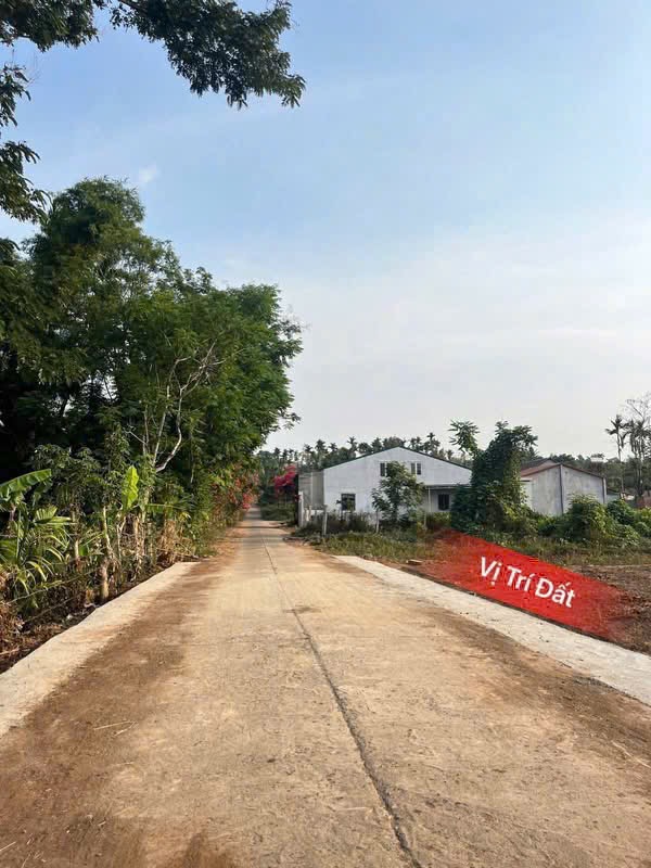 Bán đất nền 125m2 khu Tam Giác Vàng Komleo giá 1 tỷ 150 triệu