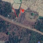 Bán đất diện tích 410m² tại Cư Suê view suối ruộng giá 255 triệu - ảnh 2