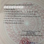 Bán đất 144m2 hẻm 170 gần Đại học Tây Nguyên giá 2 tỷ 950 triệu - ảnh 3