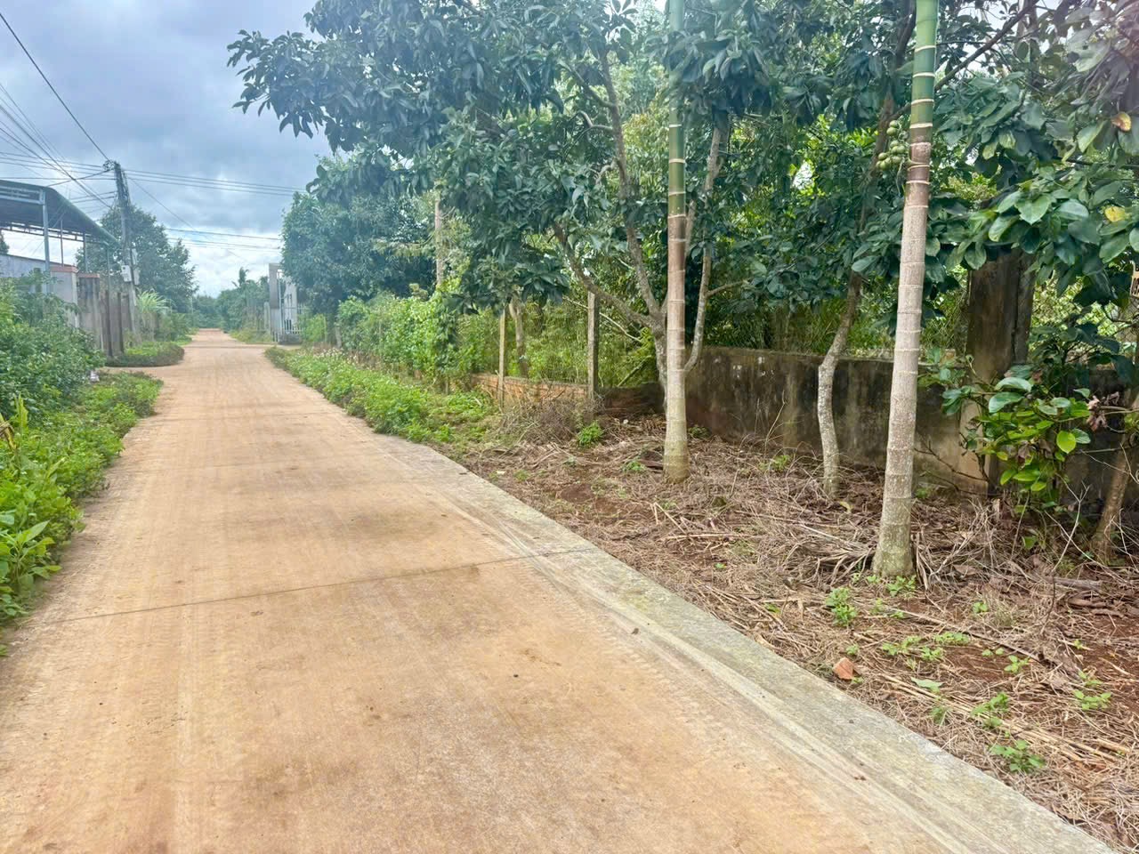 Bán đất nền tại xã Eaknuếc Krông Pắc diện tích 230m2 giá 1.25 tỷ