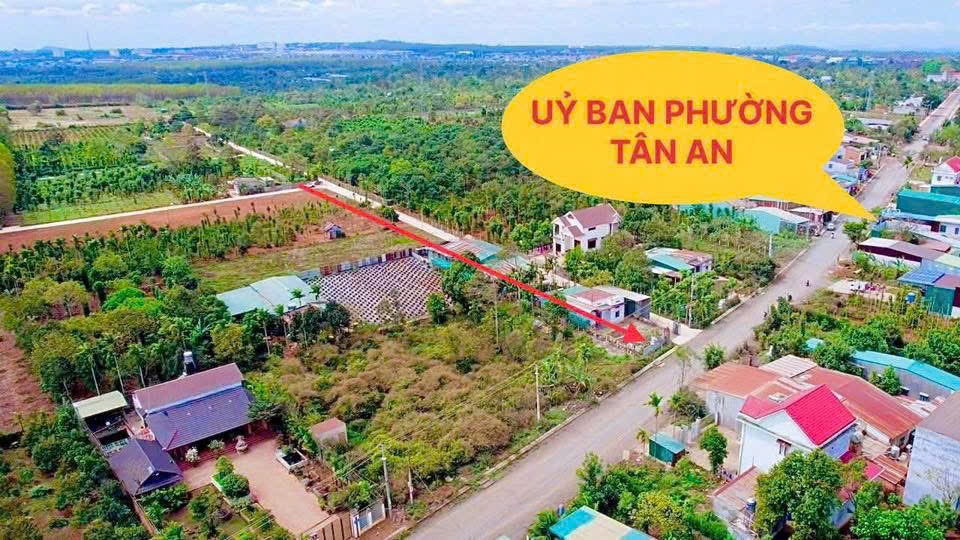 Bán đất nền diện tích 125m2 tại phường Tân An giá 1,1 tỷ