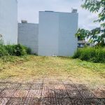 Bán đất đấu giá Lê Vụ Trương Quang Tuân diện tích 75m² giá 4,29 tỷ - ảnh 3