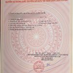 Bán đất nền 118m2 hẻm Ung Văn Khiêm giá 999 triệu - ảnh 3