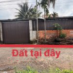 Bán đất mặt tiền đường D2 diện tích 220m2 tại Buôn Ma Thuột - ảnh 3