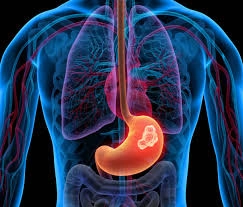 Phân loại giai đoạn ung thư dạ dày (Gastric cancer (TNM staging))