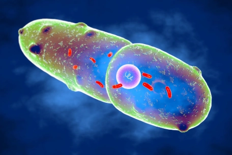 Viêm phổi do Klebsiella (Klebsiella Pneumonia)