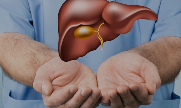 Gan to (Hepatomegaly)