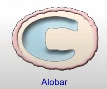 Não trước không phân chia thể không phân chia (Alobar holoprosencephaly)