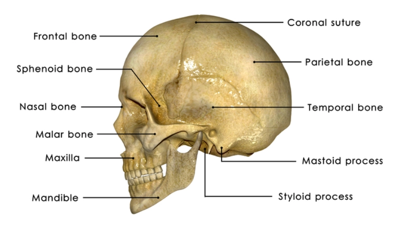 Gãy xương sọ trong tổn thương không do tai nạn (Skull fracture in Non-Accidental Injury - NAI)