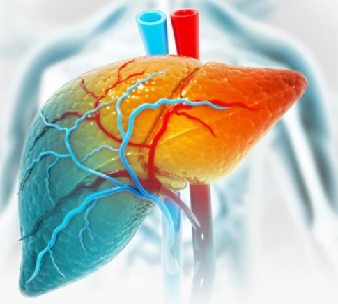 Nốt tái tạo gan (Regenerative liver nodule)