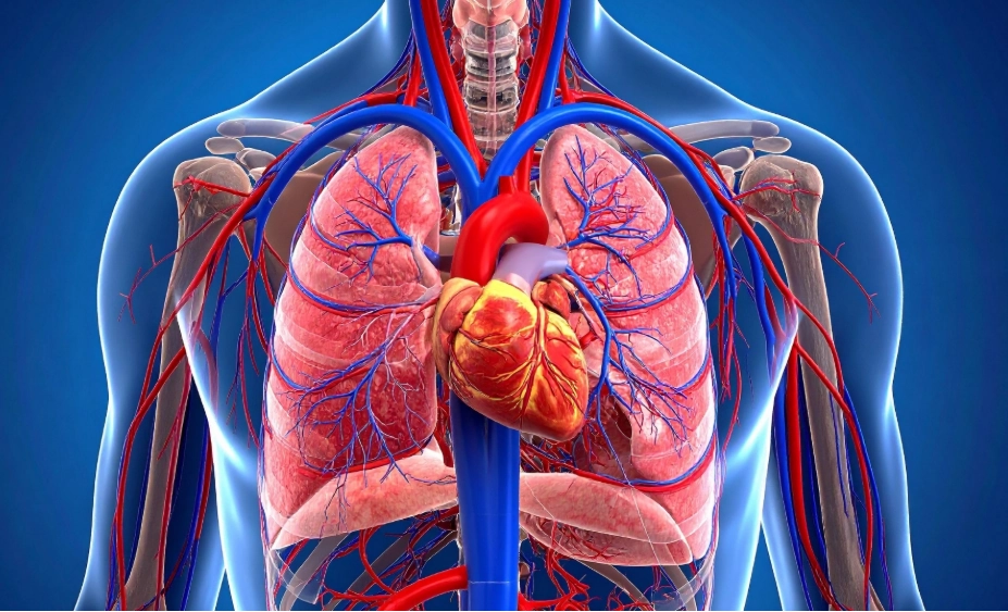 Bệnh lý mạch máu phổi