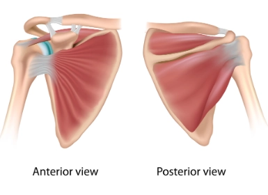 Rách chóp xoay bán phần (Partial-thickness rotator cuff tear)