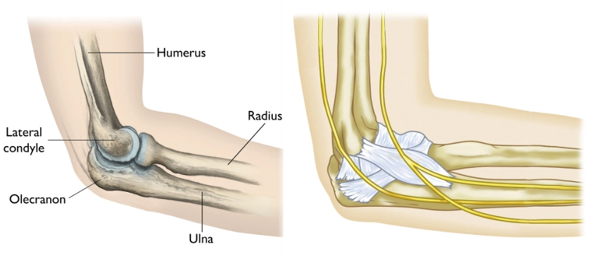 Gãy mỏm khuỷu  (Olecranon Fracture)