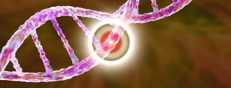 Bệnh u bao dây thần kinh bẩm sinh (Schwannomatosis)