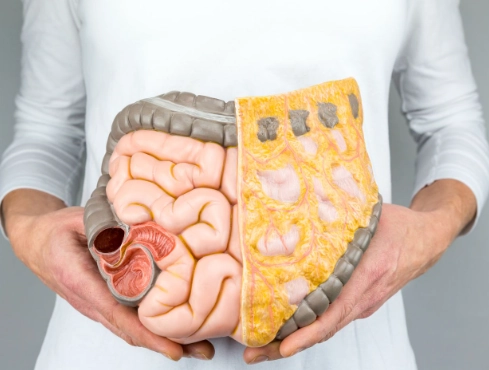 Viêm ruột non (Enteritis)