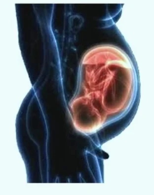 Tiếp cận nhiễm trùng bào thai (Fetal Infection)