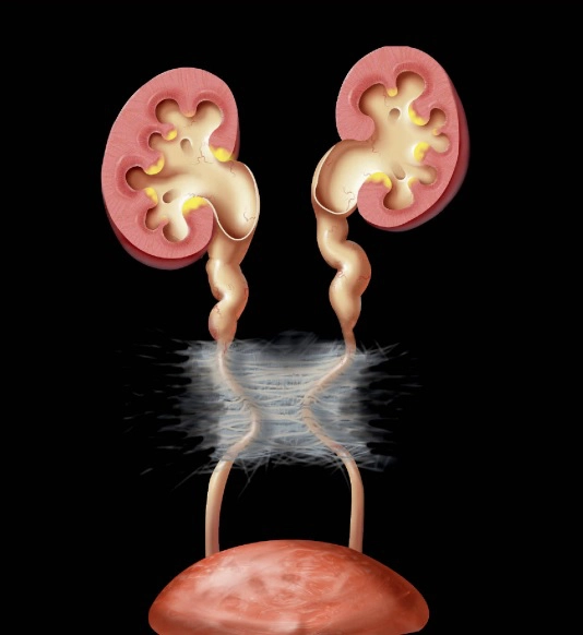 Khoang sau phúc mạc