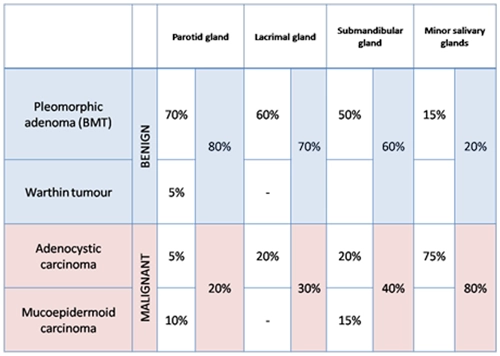 U Warthin (Warthin tumor)